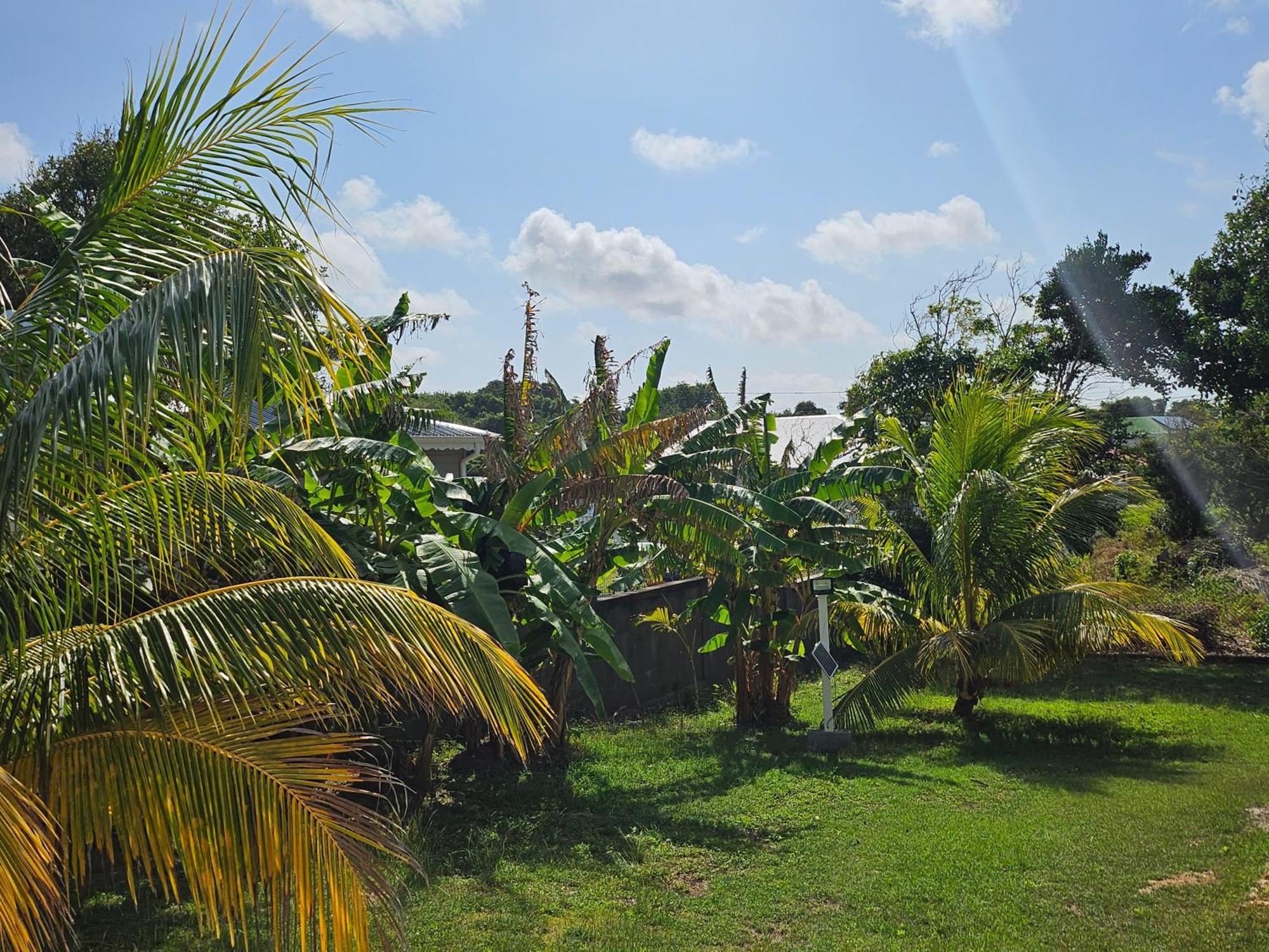 Bungalow Bo Sicrie Le Moule Exteriér fotografie